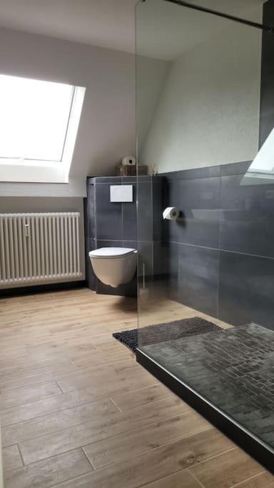 Friedenweiler Apartment Schwarzwaldmaedel מראה חיצוני תמונה