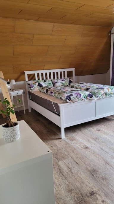Friedenweiler Apartment Schwarzwaldmaedel מראה חיצוני תמונה
