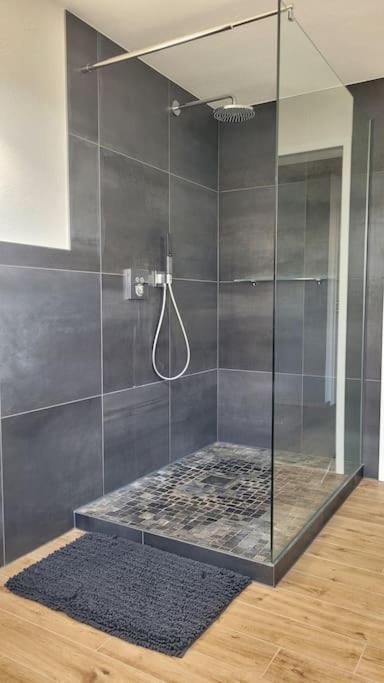 Friedenweiler Apartment Schwarzwaldmaedel מראה חיצוני תמונה