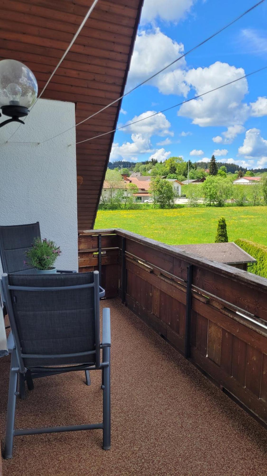 Friedenweiler Apartment Schwarzwaldmaedel מראה חיצוני תמונה